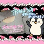 ヒメ日記 2026/04/24 08:12 投稿 野風【のかぜ】 丸妻 西船橋店