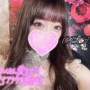 ヒメ日記 2025/07/27 15:44 投稿 セシル【ルックス120点美女】 ドMなバニーちゃん和歌山店