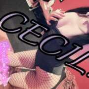 ヒメ日記 2025/07/28 08:14 投稿 セシル【ルックス120点美女】 ドMなバニーちゃん和歌山店