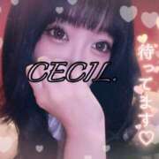 ヒメ日記 2025/07/29 12:44 投稿 セシル【ルックス120点美女】 ドMなバニーちゃん和歌山店