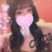 ヒメ日記 2025/07/29 19:04 投稿 セシル【ルックス120点美女】 ドMなバニーちゃん和歌山店