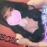 ヒメ日記 2025/07/30 00:04 投稿 セシル【ルックス120点美女】 ドMなバニーちゃん和歌山店