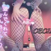 ヒメ日記 2025/07/30 16:05 投稿 セシル【ルックス120点美女】 ドMなバニーちゃん和歌山店