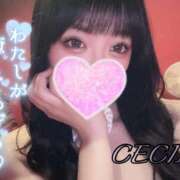 ヒメ日記 2025/07/30 23:34 投稿 セシル【ルックス120点美女】 ドMなバニーちゃん和歌山店