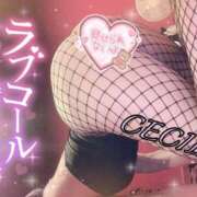 ヒメ日記 2025/07/31 13:50 投稿 セシル【ルックス120点美女】 ドMなバニーちゃん和歌山店