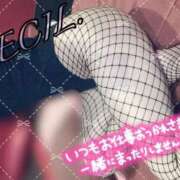 ヒメ日記 2025/07/31 16:44 投稿 セシル【ルックス120点美女】 ドMなバニーちゃん和歌山店