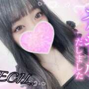 ヒメ日記 2025/08/04 18:44 投稿 セシル【ルックス120点美女】 ドMなバニーちゃん和歌山店