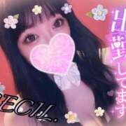 ヒメ日記 2025/08/06 12:14 投稿 セシル【ルックス120点美女】 ドMなバニーちゃん和歌山店