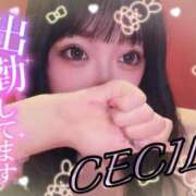 ヒメ日記 2025/08/07 14:07 投稿 セシル【ルックス120点美女】 ドMなバニーちゃん和歌山店