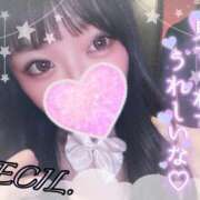 ヒメ日記 2025/08/07 17:24 投稿 セシル【ルックス120点美女】 ドMなバニーちゃん和歌山店