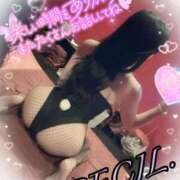 ヒメ日記 2025/08/07 22:14 投稿 セシル【ルックス120点美女】 ドMなバニーちゃん和歌山店