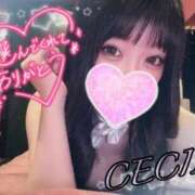 ヒメ日記 2025/08/08 00:54 投稿 セシル【ルックス120点美女】 ドMなバニーちゃん和歌山店