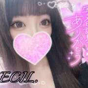 ヒメ日記 2025/08/19 12:05 投稿 セシル【ルックス120点美女】 ドMなバニーちゃん和歌山店