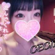 ヒメ日記 2025/08/20 15:01 投稿 セシル【ルックス120点美女】 ドMなバニーちゃん和歌山店