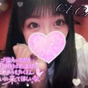 ヒメ日記 2025/08/21 15:18 投稿 セシル【ルックス120点美女】 ドMなバニーちゃん和歌山店