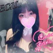 ヒメ日記 2025/08/22 00:04 投稿 セシル【ルックス120点美女】 ドMなバニーちゃん和歌山店