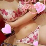 ヒメ日記 2025/08/26 11:07 投稿 セシル【ルックス120点美女】 ドMなバニーちゃん和歌山店