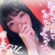 ヒメ日記 2025/09/18 12:28 投稿 セシル【ルックス120点美女】 ドMなバニーちゃん和歌山店