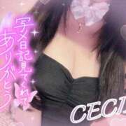 セシル【ルックス120点美女】 夕方以降も♡ ドMなバニーちゃん和歌山店