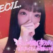 セシル【ルックス120点美女】 感謝♡ ドMなバニーちゃん和歌山店