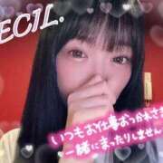 セシル【ルックス120点美女】 最終日♡ ドMなバニーちゃん和歌山店