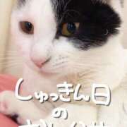 ヒメ日記 2025/07/31 10:27 投稿 ねね シェリーエンジェル