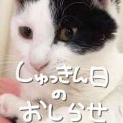 ヒメ日記 2025/08/17 17:19 投稿 ねね シェリーエンジェル