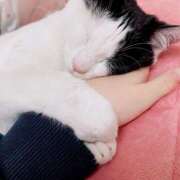 ヒメ日記 2025/09/08 02:20 投稿 ねね シェリーエンジェル