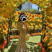 ヒメ日記 2025/09/08 15:14 投稿 ねね シェリーエンジェル