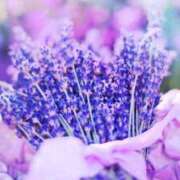 ヒメ日記 2025/07/27 20:14 投稿 まみ ちゃんこ東大阪 布施・長田店