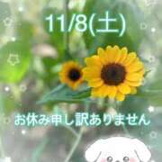 ヒメ日記 2025/11/08 18:26 投稿 ひまわり 奥様さくら日本橋店