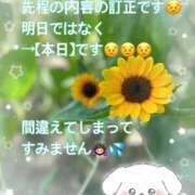 ひまわり ひまわり（clubさくら日本橋店） 奥様さくら日本橋店