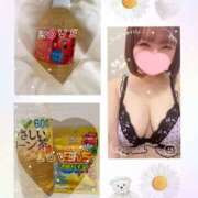 ヒメ日記 2025/12/07 22:06 投稿 ひまわり 奥様さくら日本橋店