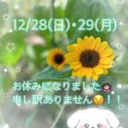 ひまわり ひまわり（clubさくら日本橋店） 奥様さくら日本橋店