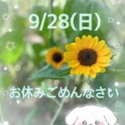 ヒメ日記 2025/09/27 23:56 投稿 ひまわり club さくら日本橋店