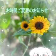 ヒメ日記 2025/11/05 13:56 投稿 ひまわり club さくら日本橋店