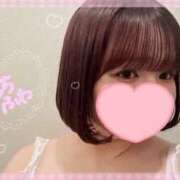 ひまわり ひまわり（clubさくら日本橋店） club さくら日本橋店