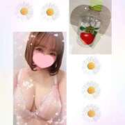 ヒメ日記 2026/01/25 23:31 投稿 ひまわり club さくら日本橋店