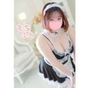 ひまわり ひまわり（clubさくら日本橋店） club さくら日本橋店