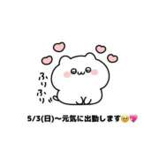 ひまわり ひまわり（clubさくら日本橋店） club さくら日本橋店