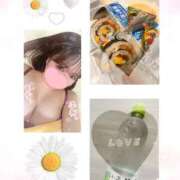ひまわり ひまわり（clubさくら日本橋店） club さくら日本橋店