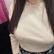 ヒメ日記 2025/12/29 17:53 投稿 つばき 池袋ぱんぷきん（シンデレラグループ）