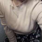 ヒメ日記 2026/04/02 11:32 投稿 つばき 池袋ぱんぷきん（シンデレラグループ）