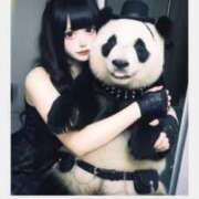 ヒメ日記 2025/10/08 11:56 投稿 つみまる イクイクサークル鶯谷店