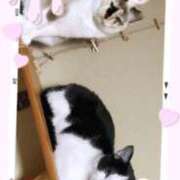 つみまる かぜひきました、 イクイクサークル鶯谷店