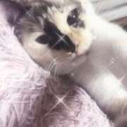 つみまる おやすみ、 イクイクサークル鶯谷店