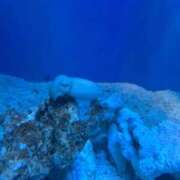 つみまる やめてって言ったらやめてください。 イクイクサークル鶯谷店