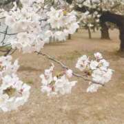 ヒメ日記 2026/04/06 22:24 投稿 まりな キスMy