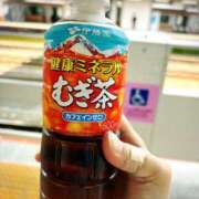 ヒメ日記 2025/07/28 17:14 投稿 あんず 池袋おかあさん