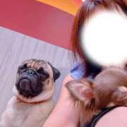 ヒメ日記 2025/09/06 16:24 投稿 あんず 池袋おかあさん